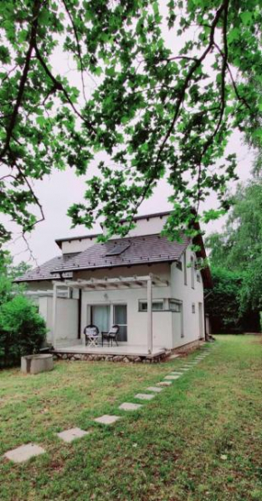 Villa Arany, Balatonszemes
